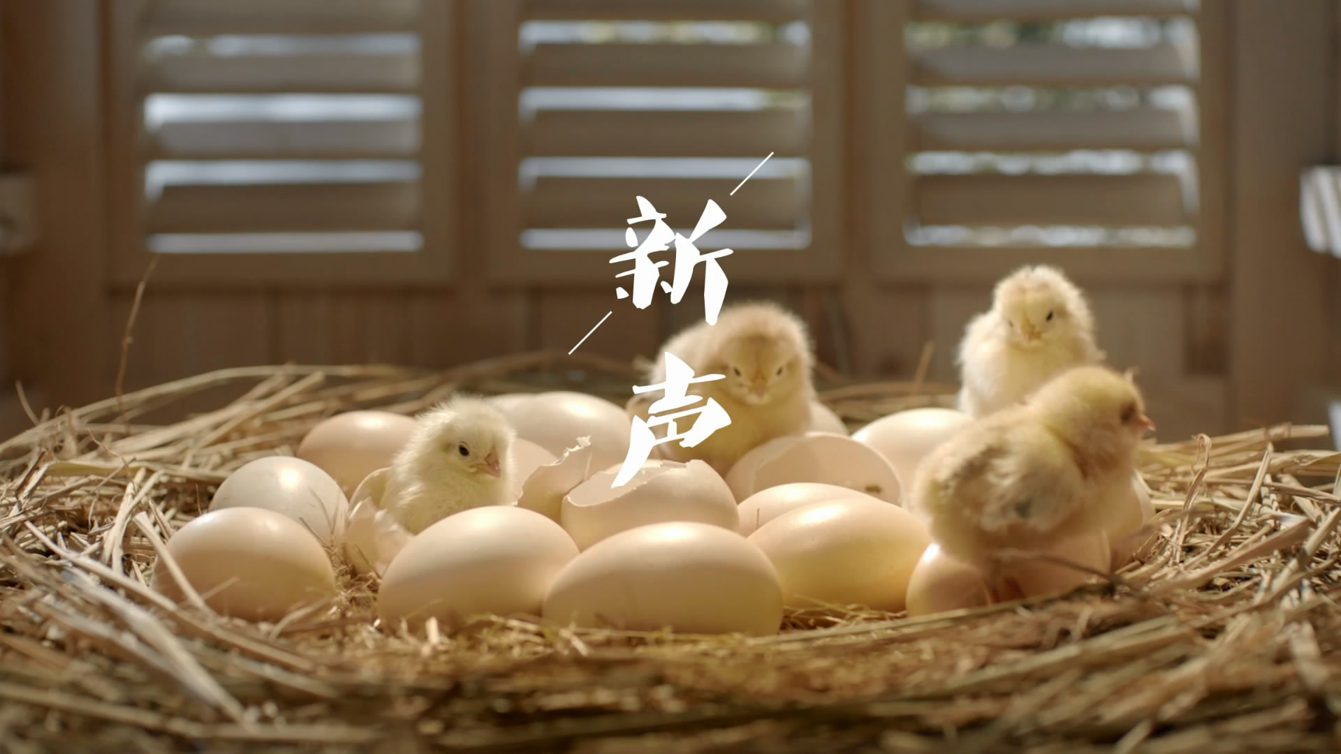 &#22810;&#23453;&#22312;&#32447;&#45;&#22810;&#23453;&#22312;&#32447;&#65288;&#20013;&#22269;&#65289;